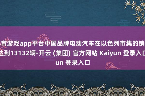 体育游戏app平台中国品牌电动汽车在以色列市集的销量达到13132辆-开云 (集团) 官方网站 Kaiyun 登录入口
